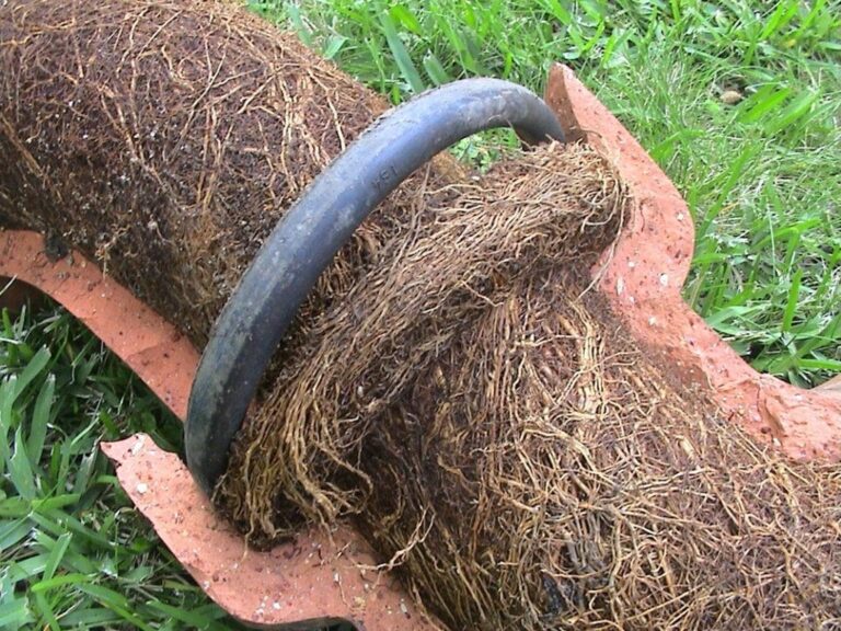 A plumbing pipe clogged with tree roots ready to be cleaned for instantly improved flow.